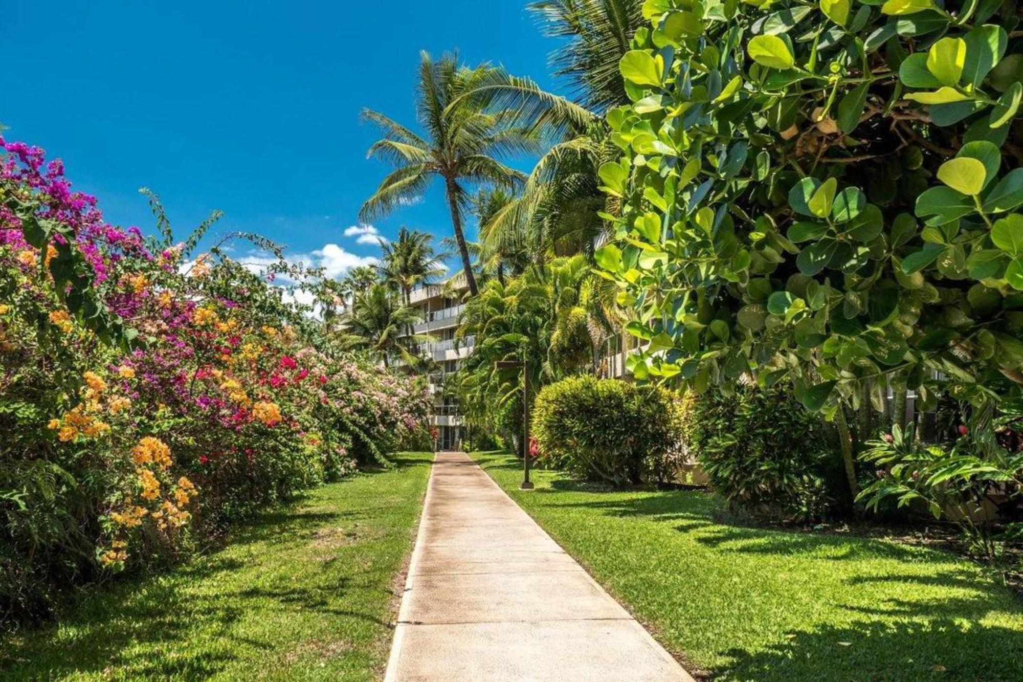 Villa Maui Banyan Wailea  Habitación foto