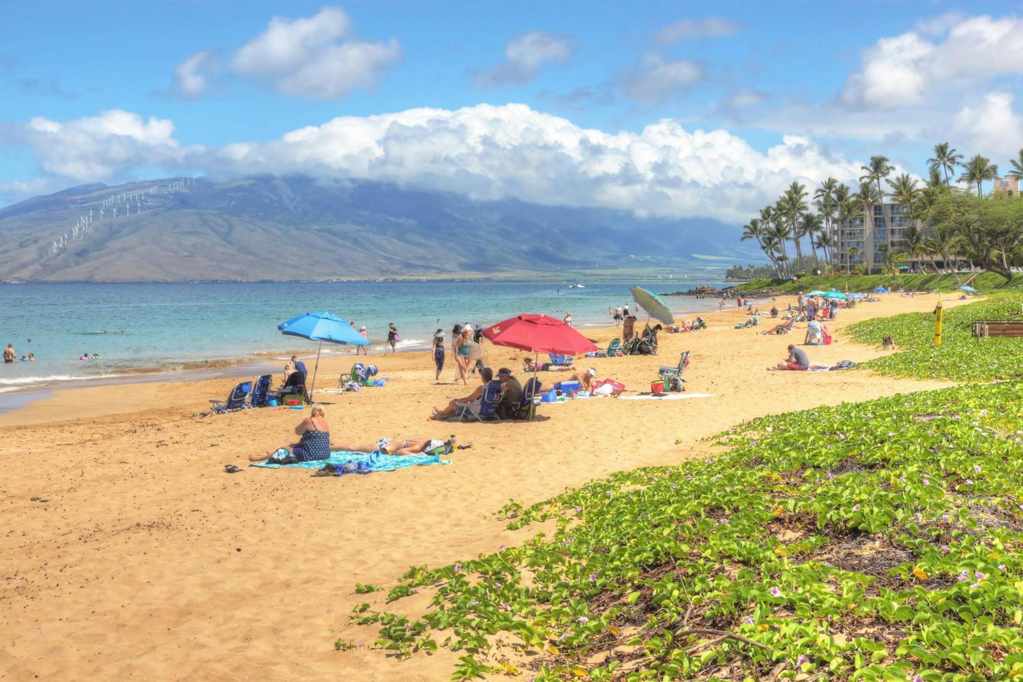 Villa Maui Banyan Wailea  Habitación foto